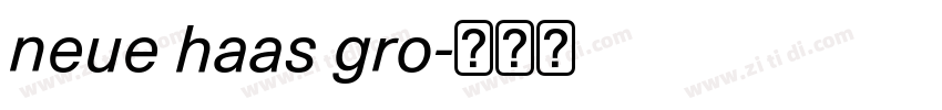 neue haas gro字体转换